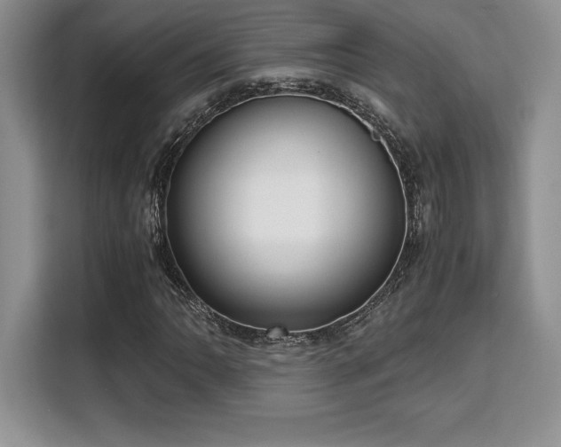 X0000110321062200905211522