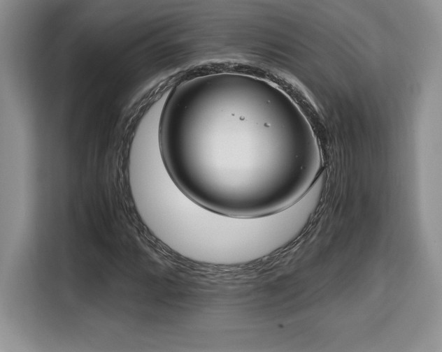 X0000110321064200905211522