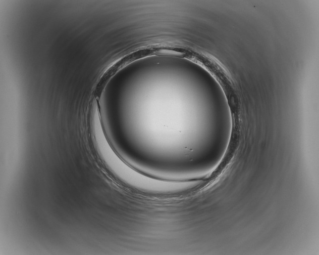 X0000110321065200905211522