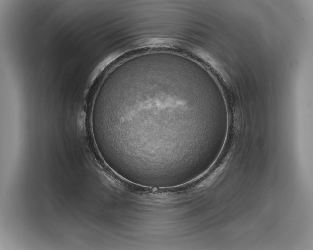 X0000110321066200905211522