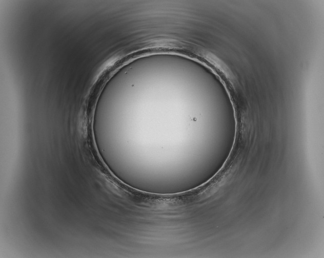 X0000110321067200905211522