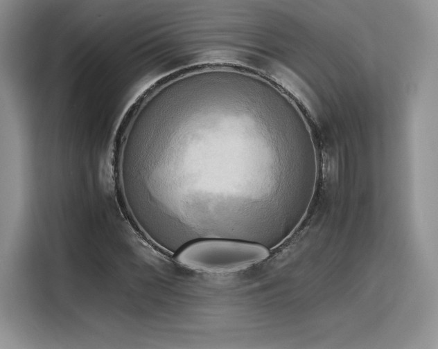 X0000110321068200905211522