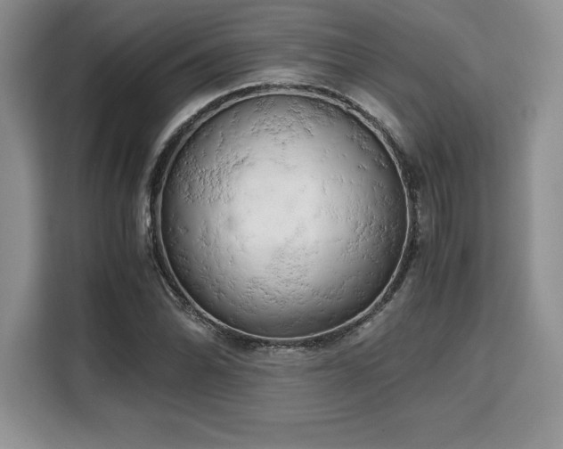 X0000110321070200905211522
