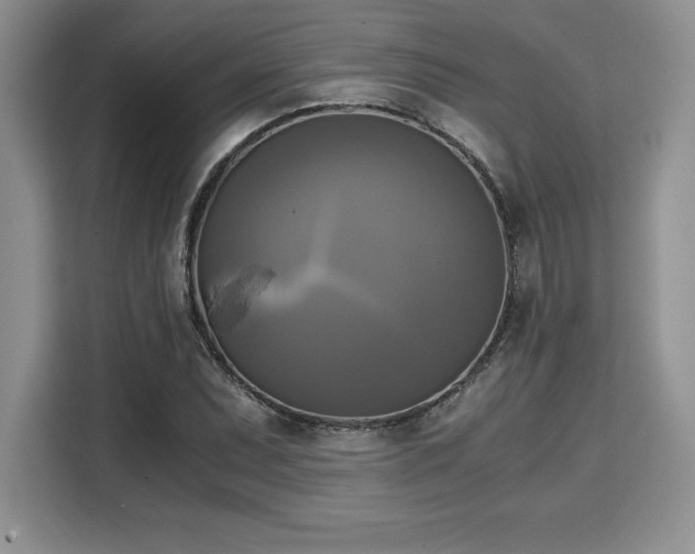 X0000110321071200905211522
