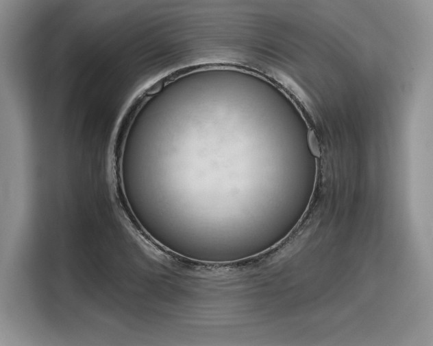 X0000110321072200905211522