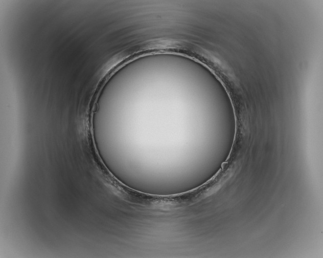 X0000110321073200905211522