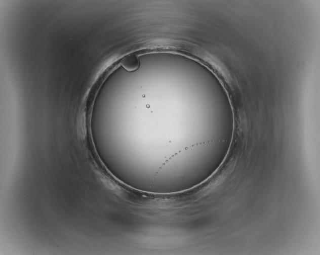 X0000110321075200905211522