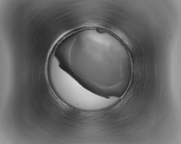 X0000110321076200905211522