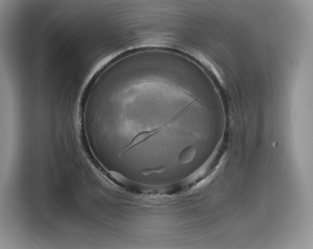 X0000110321077200905211521