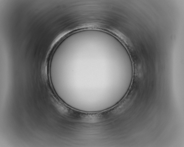 X0000110321078200905211521