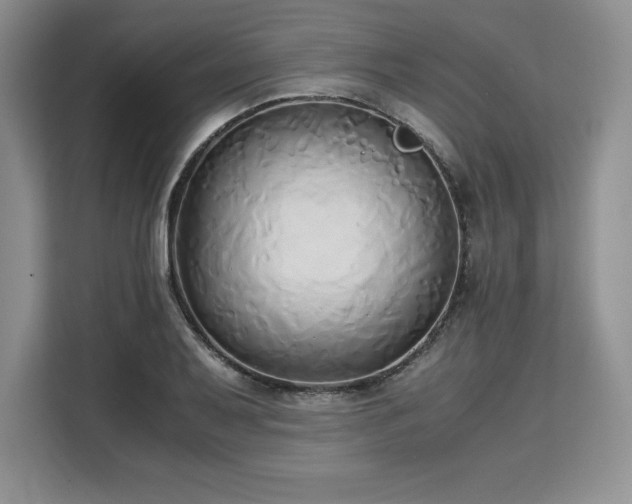 X0000110321079200905211521