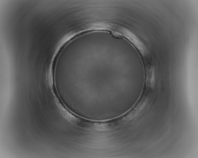X0000110321080200905211521