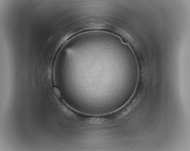 X0000110321081200905211521