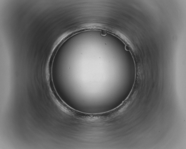 X0000110321082200905211521