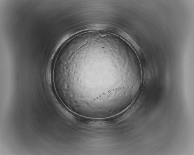 X0000110321083200905211521