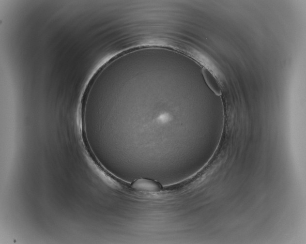 X0000110321084200905211521