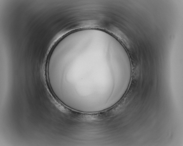 X0000110321086200905211521