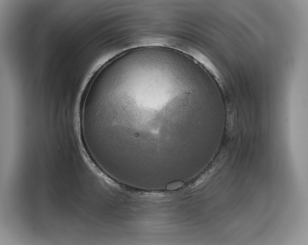 X0000110321088200905211521