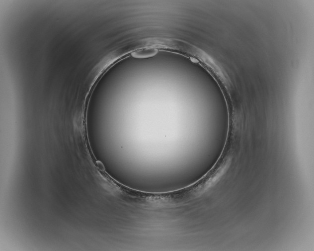 X0000110321089200905211521