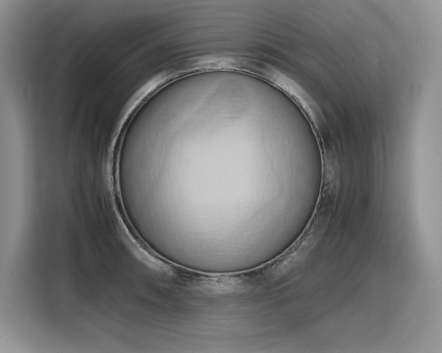 X0000110321090200905211521