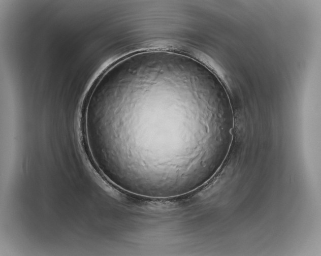 X0000110321091200905211521
