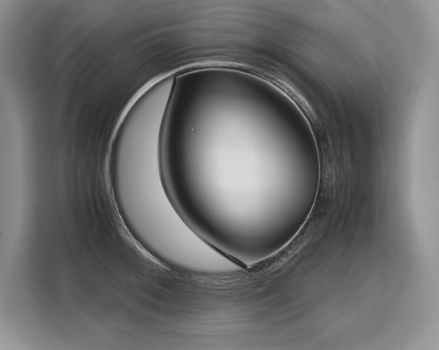 X0000110321092200905211521