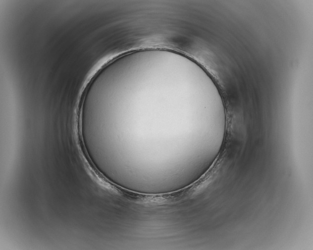X0000110321094200905211521