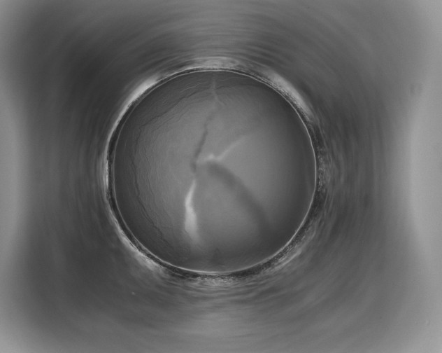 X0000110321095200905211521