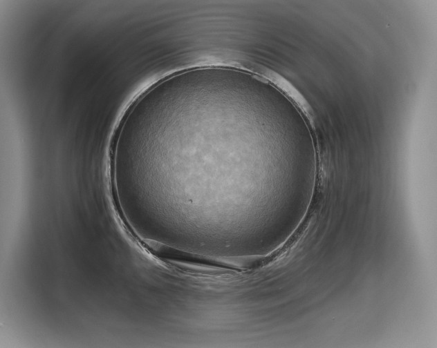 X0000110321096200905211521