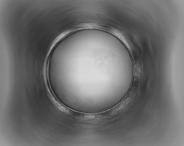 X0000110321098200905211521