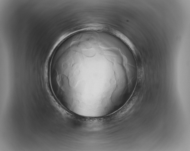 X0000110321099200905211521