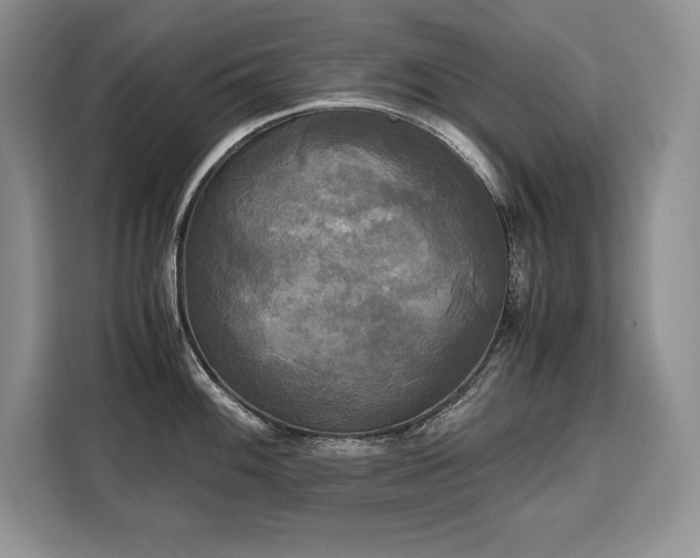 X0000110321100200905211521