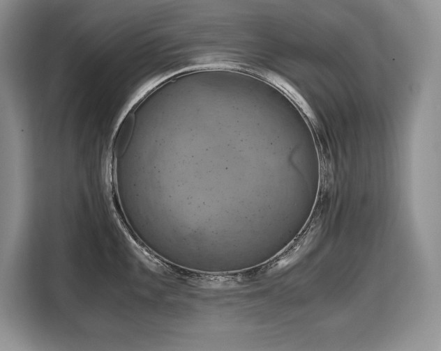 X0000110321101200905211521