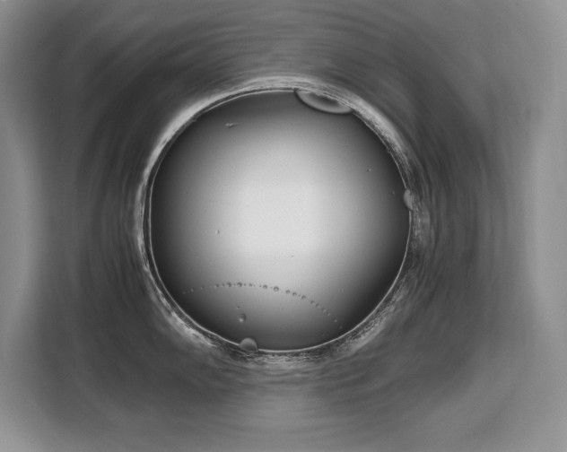 X0000110321102200905211521