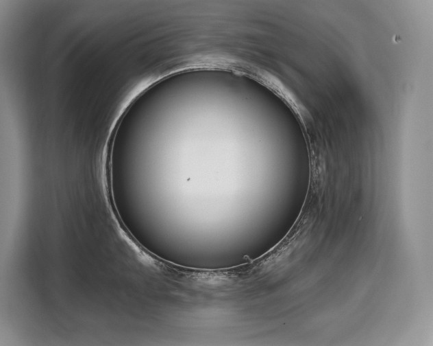 X0000110321103200905211521