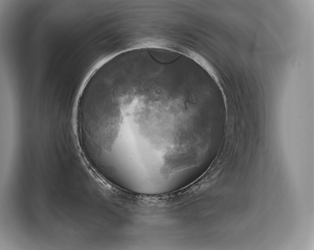 X0000110321104200905211521
