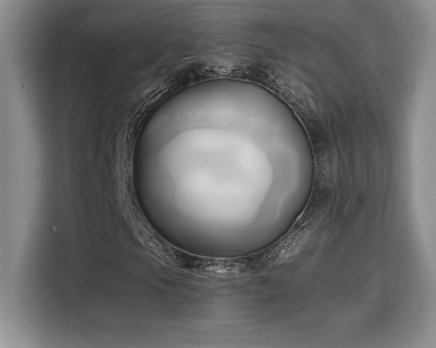 X0000110321105200905211520