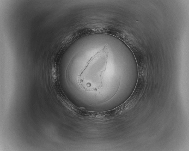 X0000110321106200905211520