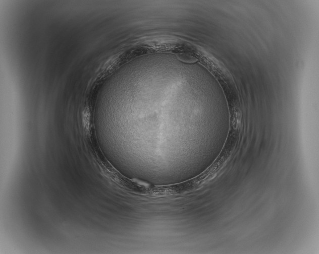 X0000110321108200905211520