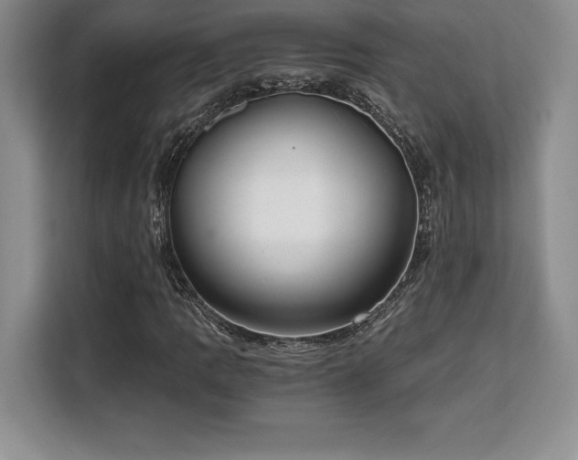 X0000110321109200905211520
