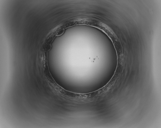 X0000110321111200905211520