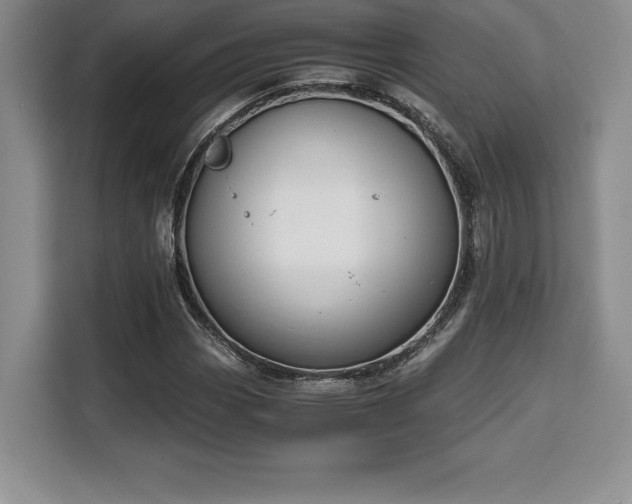 X0000110321113200905211520