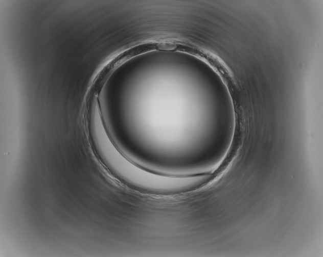 X0000110321114200905211520