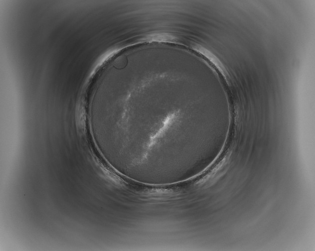 X0000110321115200905211520