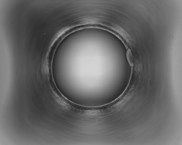 X0000110321118200905211520