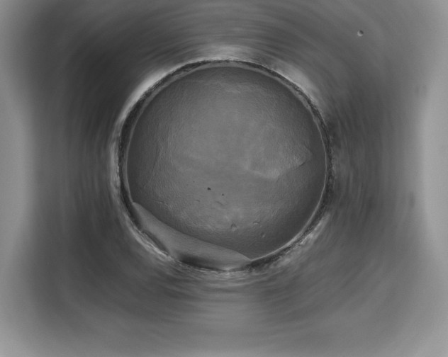 X0000110321120200905211521