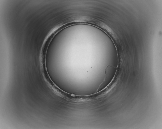 X0000110321122200905211521