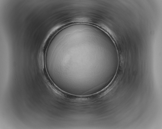 X0000110321123200905211521