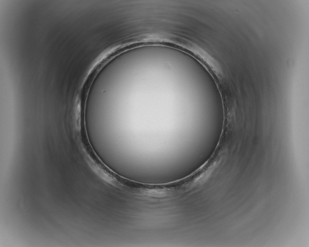 X0000110321126200905211521