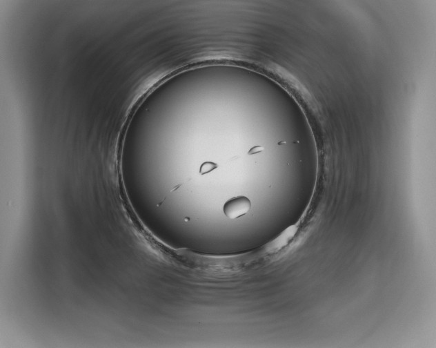 X0000110321129200905211521